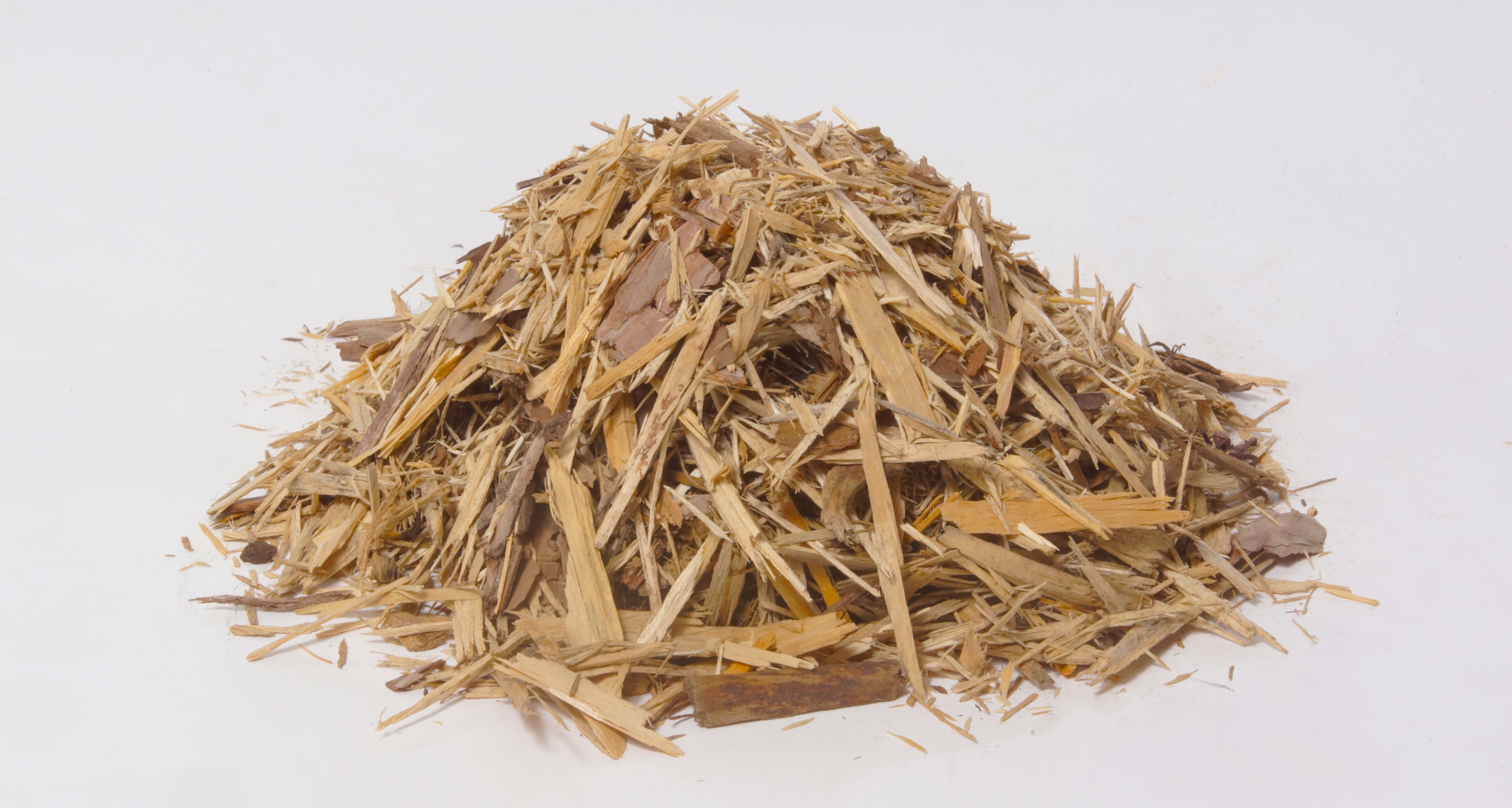 Bark BLOND PINE